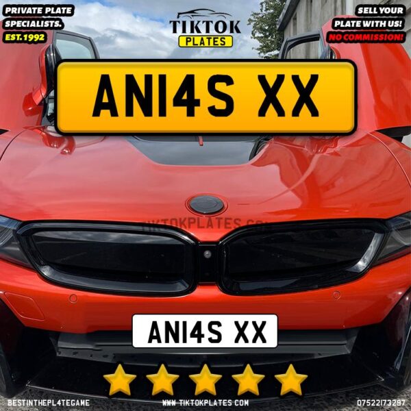 AN14S XX - Image 3